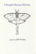 A Simple Human Mind, Book Cover, Jeff Worley
